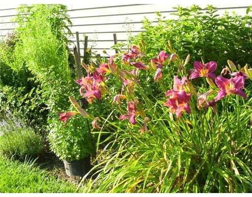 395 Hallowell Road Pownal, ME 04069 - Photo 24 of 25 Yard/Garden.