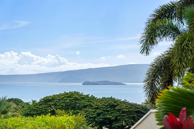 a yard with yellow house