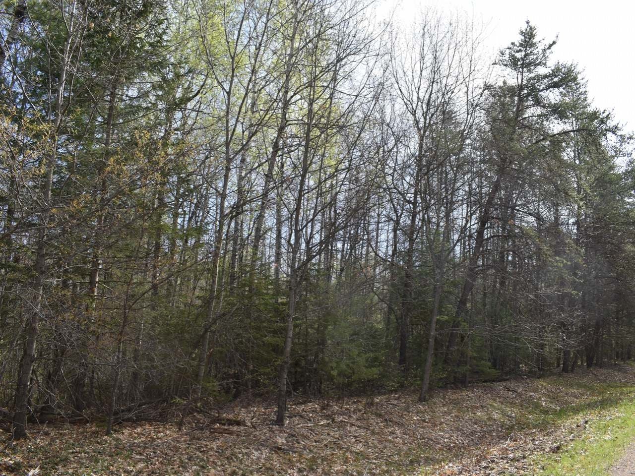 Lot 2 Kings Road Tomahawk, WI 54487 - Photo 7 of 9 Gallery Image 7