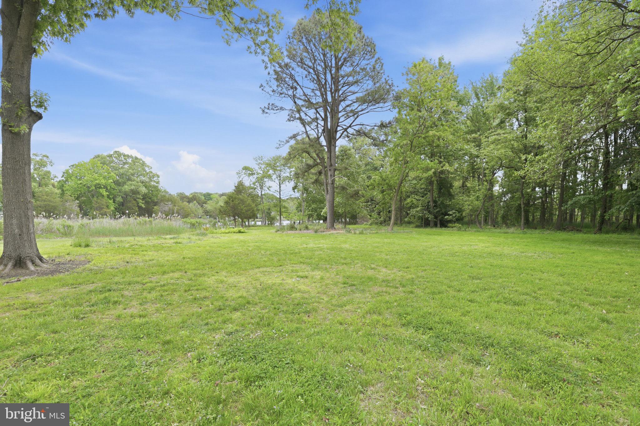 5865 Deale Beach Road Deale, MD 20751 - Photo 28 of 50 Lush green oasis under a blue sky.