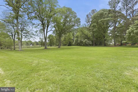 a view of a field with an trees