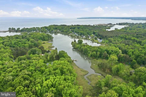 a view of a lake with a city