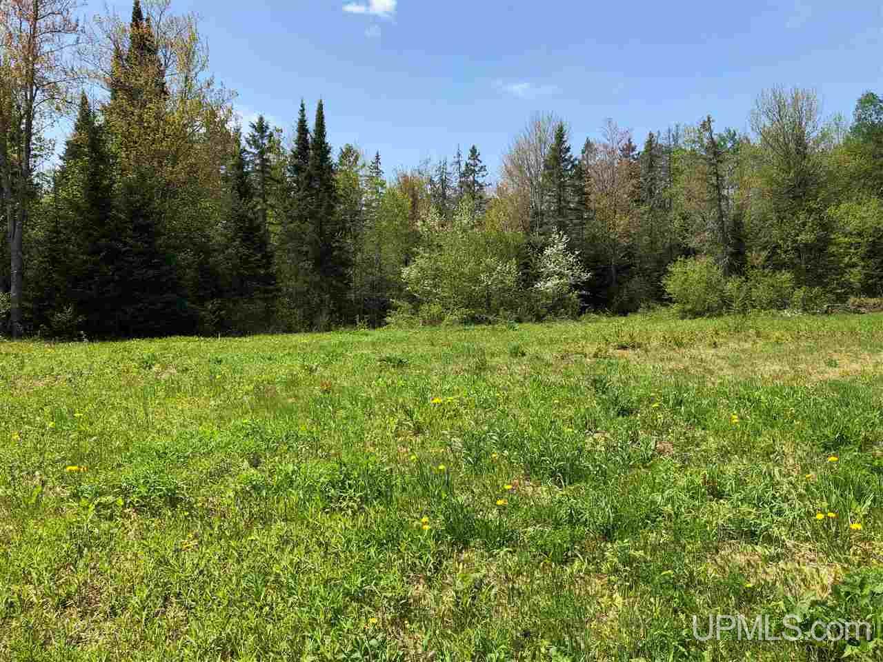 79.99-ac Off West Harding Road Bessemer, MI 49911 - Photo 31 of 33