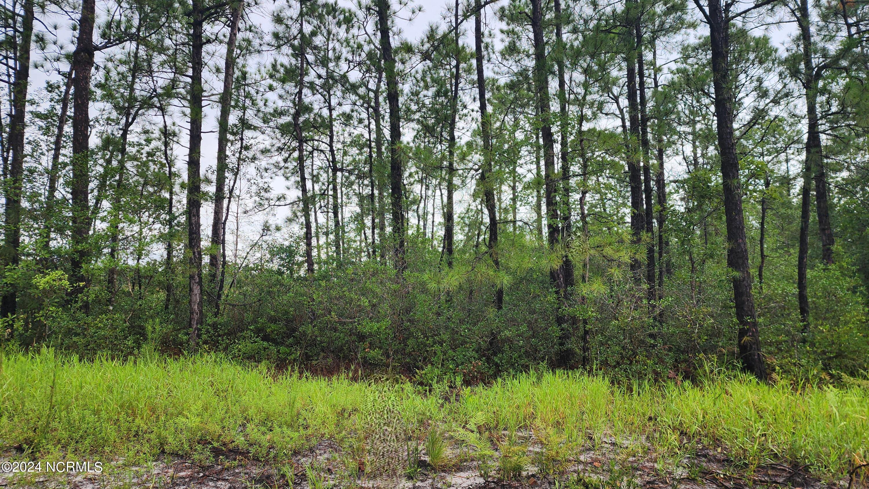 Tr-45 Cactus Road Southport, NC 28461 - Photo 4 of 4 Land