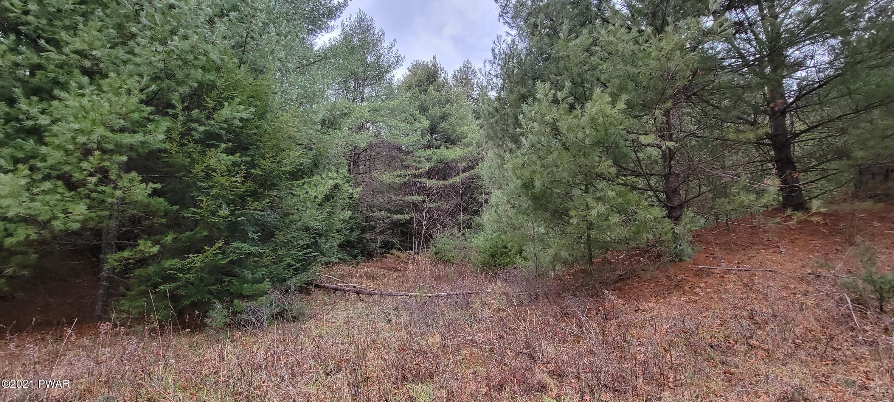 Lot 43 Swamp Pond Road Narrowsburg, NY 12764 - Photo 2 of 13
