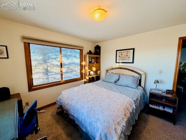 24988 Ben Kelly Road Elbert, CO 80106 - Photo 30 of 34 a bedroom with a bed and a painting on the wall