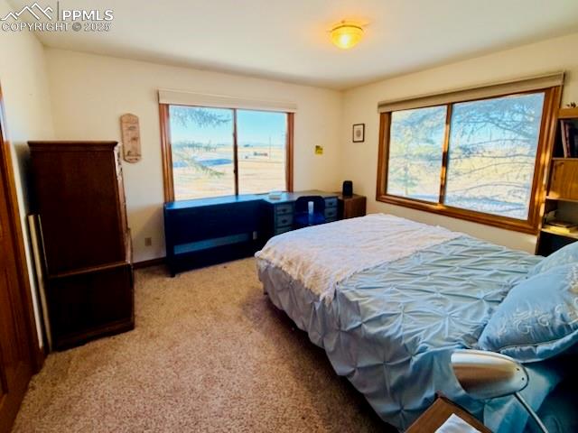 24988 Ben Kelly Road Elbert, CO 80106 - Photo 33 of 34 a bedroom with a bed and wooden floor