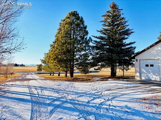 24988 Ben Kelly Road Elbert, CO 80106 - Photo 4 of 34 a view of road with trees