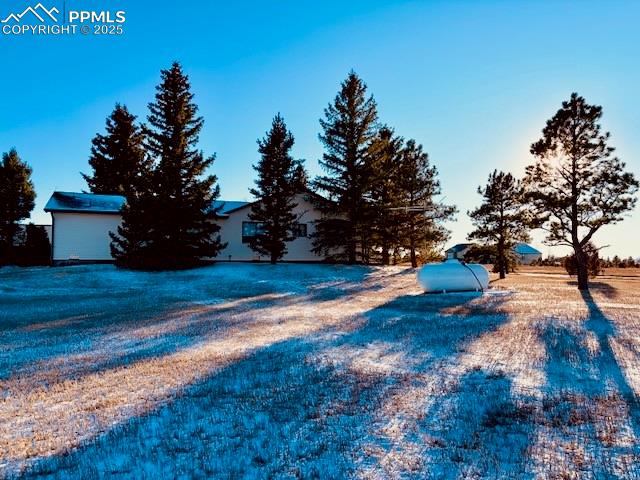 24988 Ben Kelly Road Elbert, CO 80106 - Photo 7 of 34 a view of yard with green space