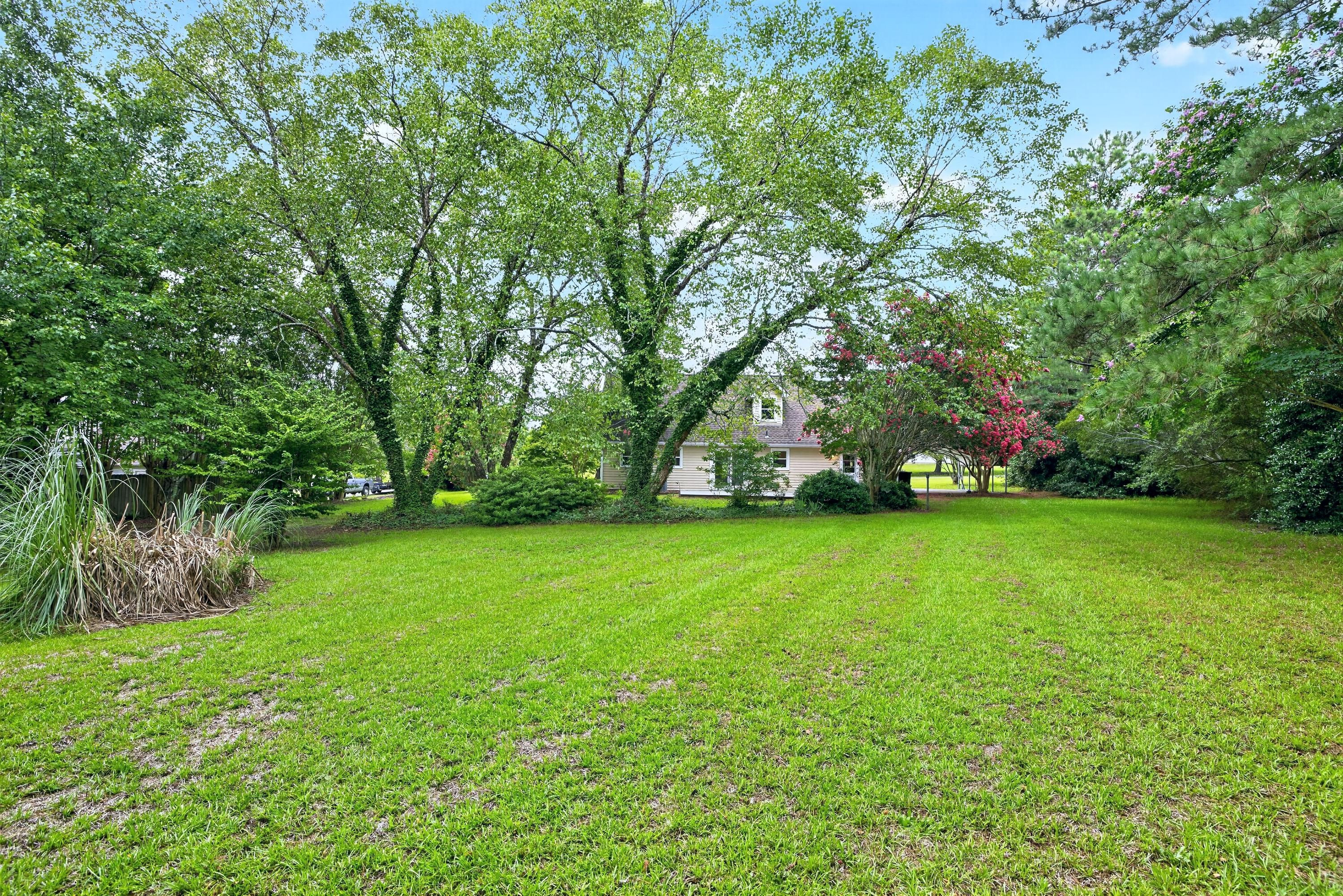1517 Old Clayton Road Willow Spring, NC 27592 - Photo 11 of 60 _B5A5982-3000.jpg