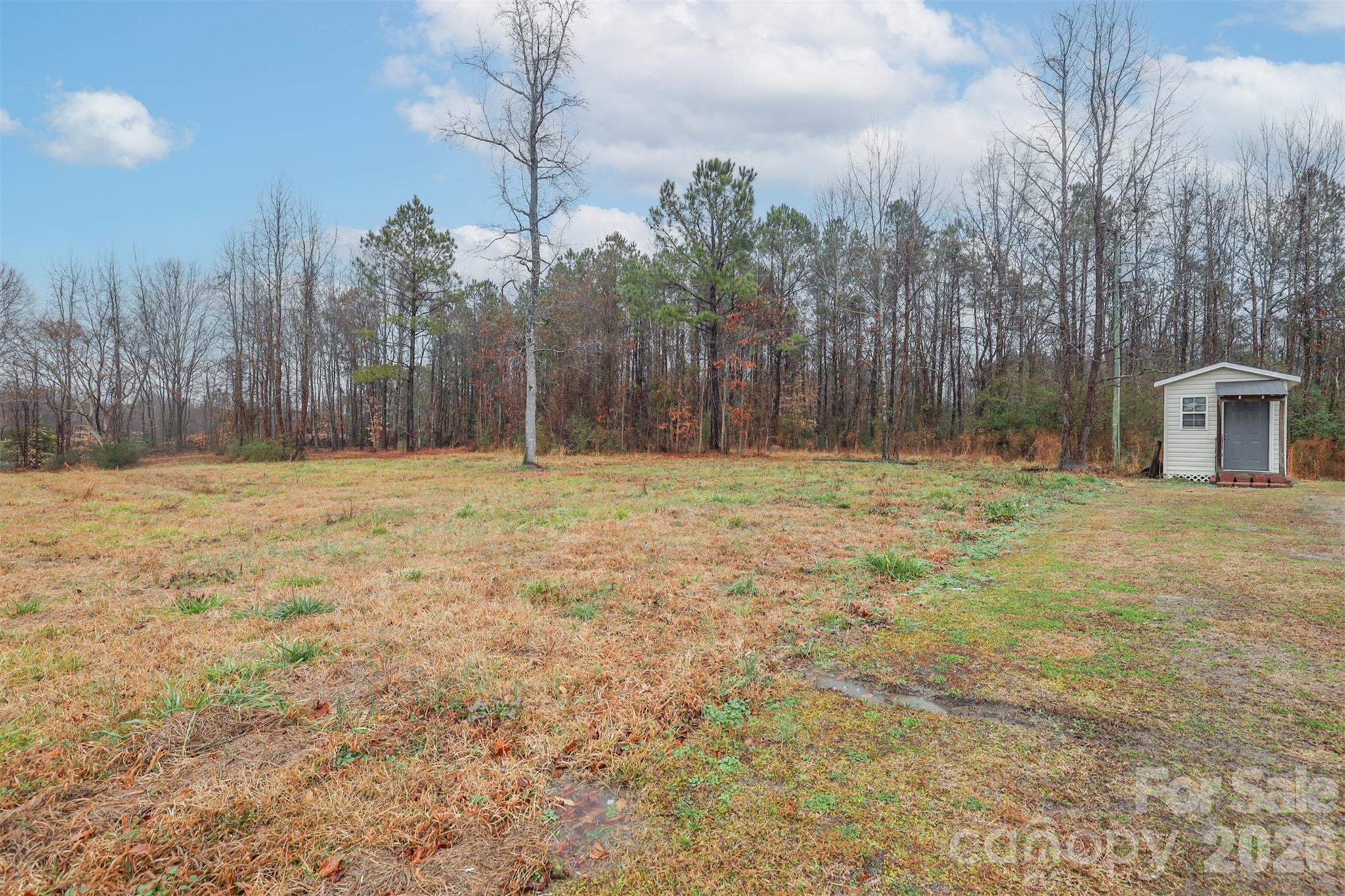 1224 Astoria Road Jamesville, NC 27846 - Photo 4 of 34 a view of outdoor space with trees
