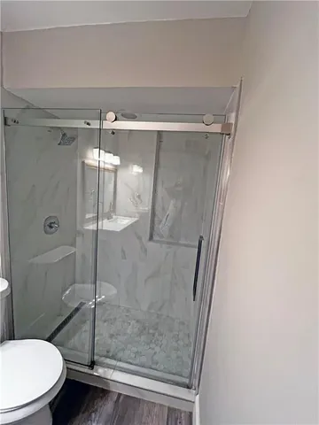 a bathroom with a shower and toilet