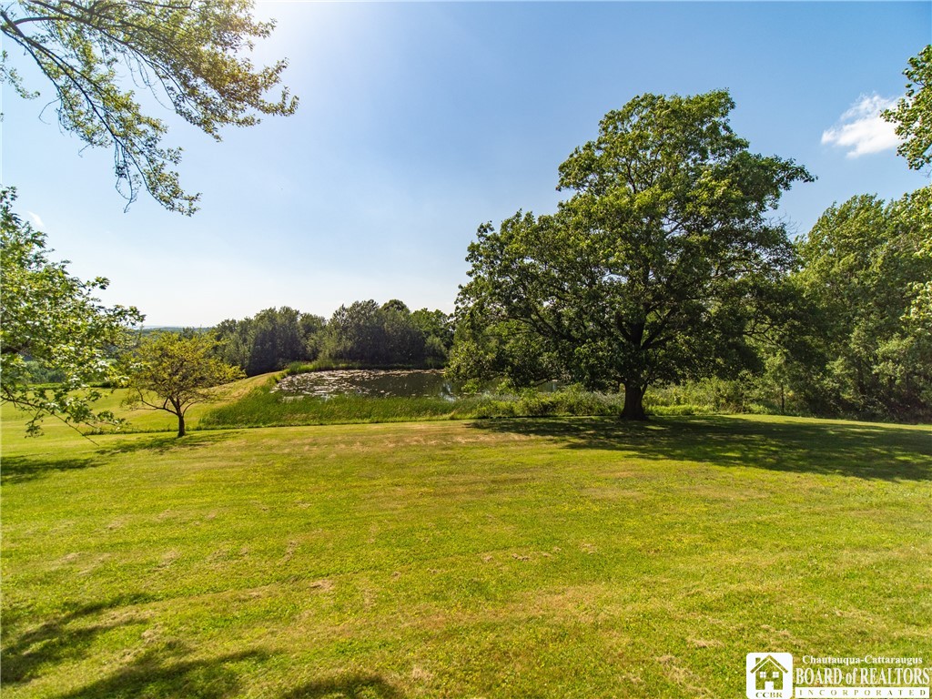 179 Robbin Hill Road Carroll, NY 14738 - Photo 10 of 50