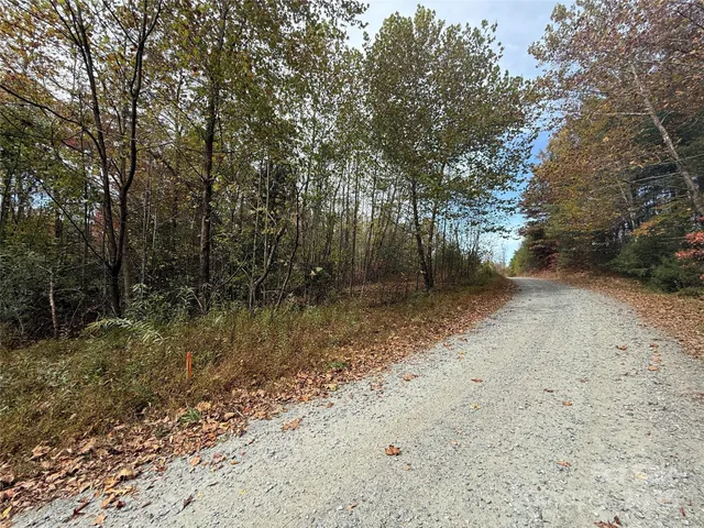 a view of a yard with trees