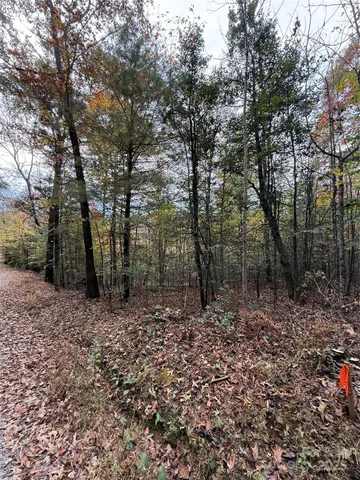 a big yard with lots of green space