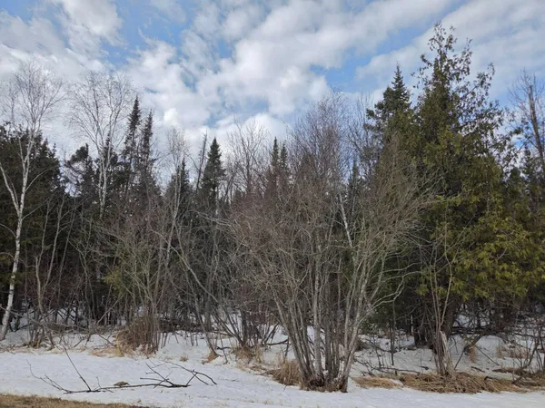 $90,000 | Three 3 Mile Road Northeast, Blackduck, MN 56630