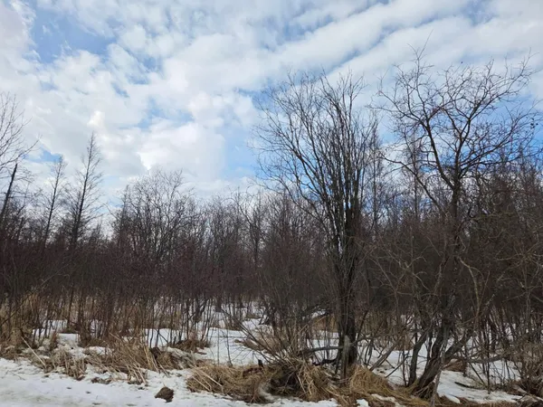 $90,000 | Three 3 Mile Road Northeast, Blackduck, MN 56630