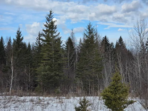 $90,000 | Three 3 Mile Road Northeast, Blackduck, MN 56630