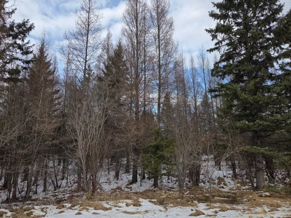 $90,000 | Three 3 Mile Road Northeast, Blackduck, MN 56630