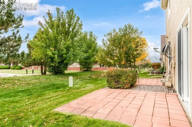 a view of a backyard with large trees