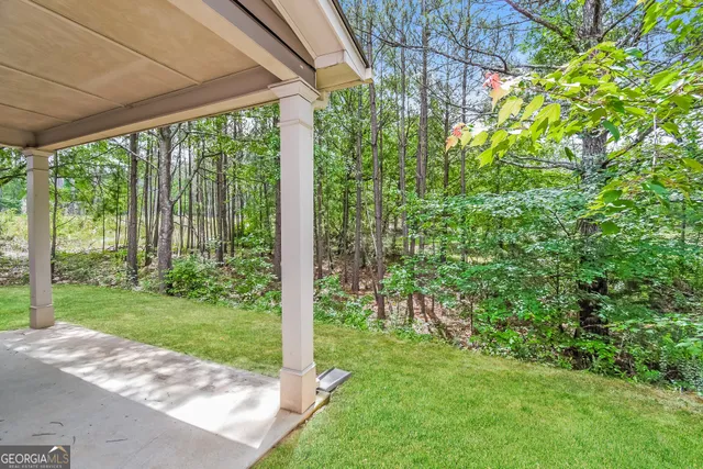 a view of a yard with plants and a small yard