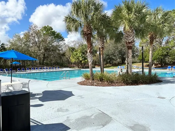 $875,000 | 15020 Eaglerise Drive, Lithia, FL 33547