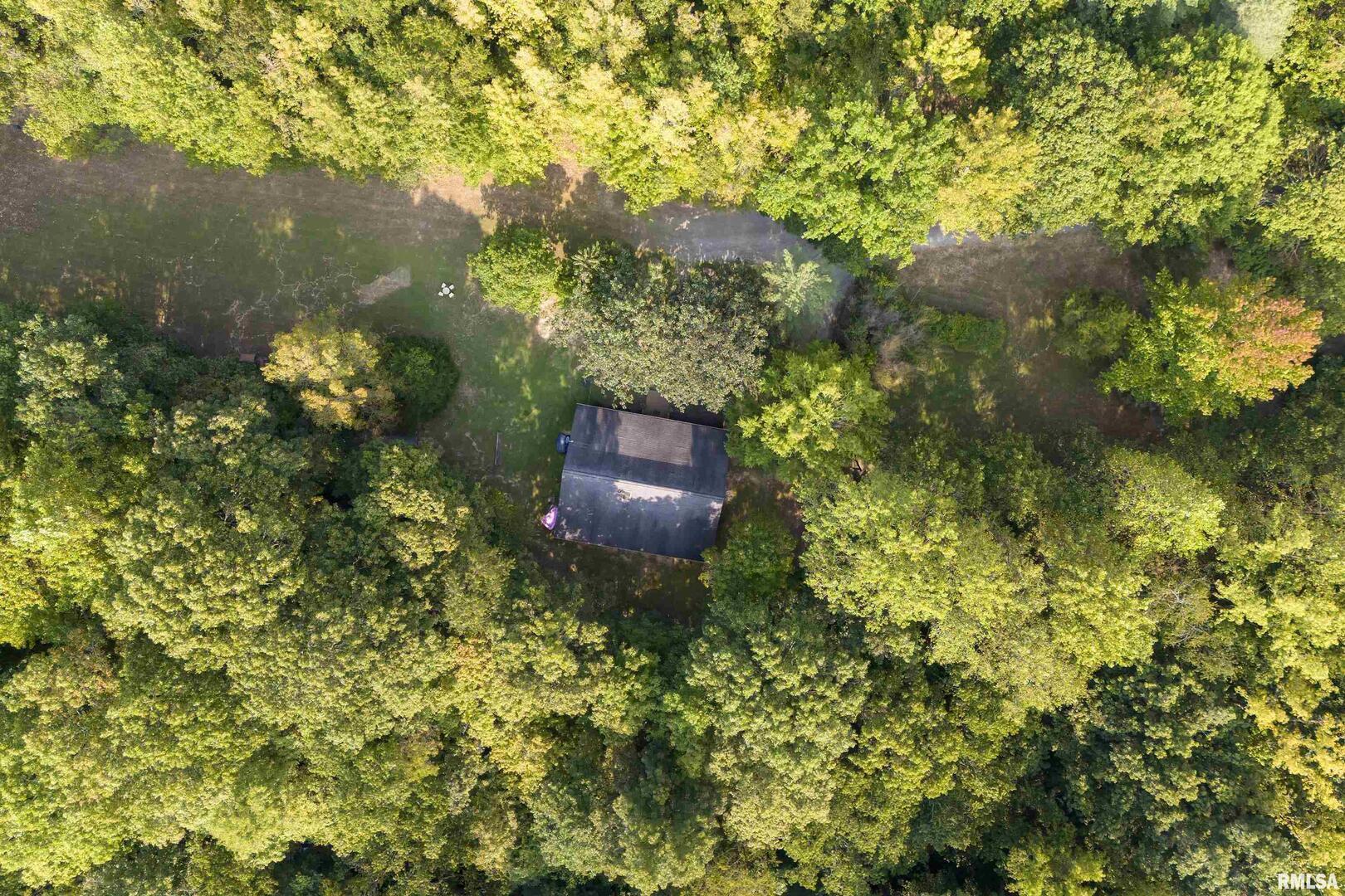 220 Timber Ridge Lane Jonesboro, IL 62952 - Photo 4 of 24 a view of a tree in a yard
