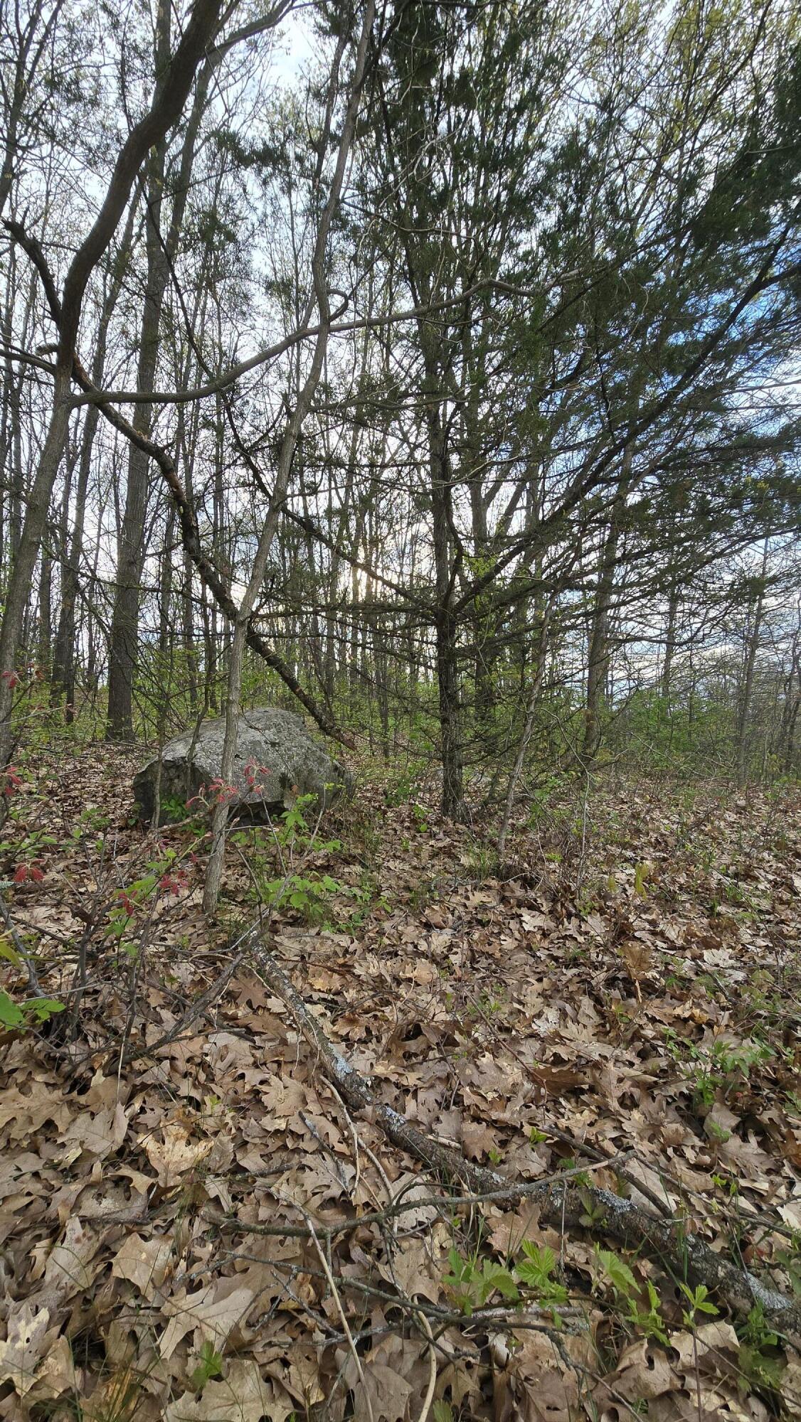 690 Pierce Road Plainwell, MI 49080 - Photo 45 of 70 20260506_190155