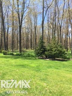 8335 Morrow Road Algonac, MI 48001 - Photo 36 of 45
