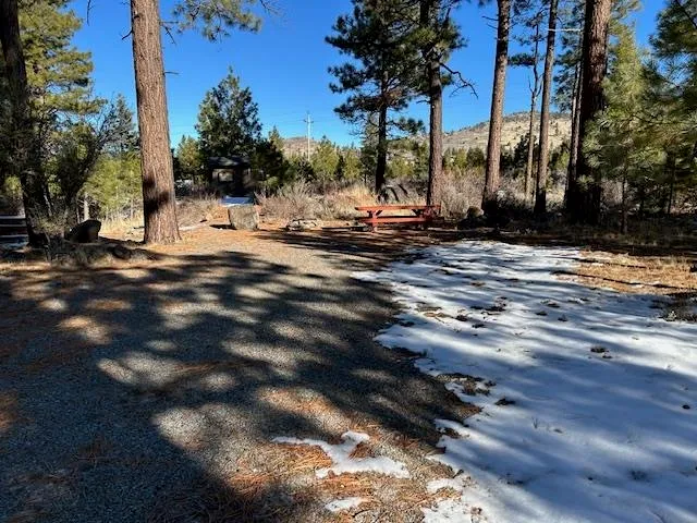 a view of a backyard of the house