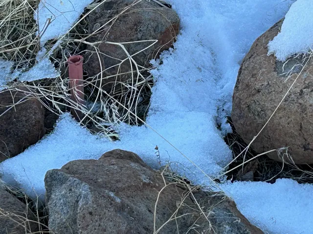 a backyard of a house