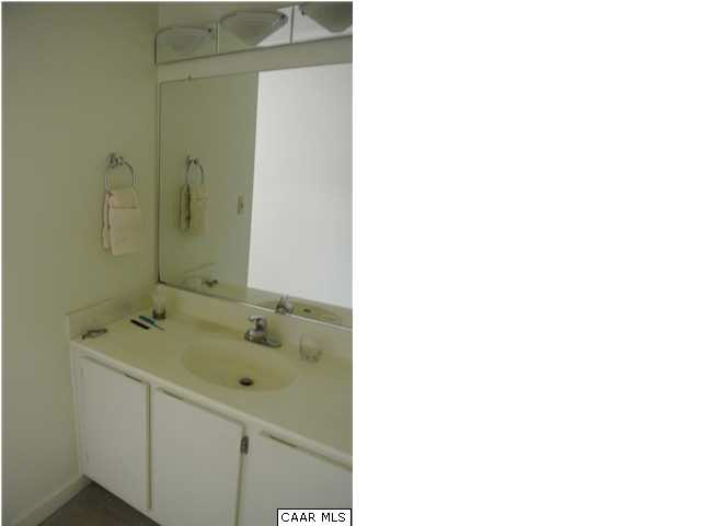 2925 Brookmere Road Charlottesville, VA 22901 - Photo 17 of 22 Master Vanity