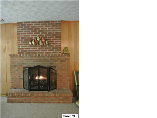 2925 Brookmere Road Charlottesville, VA 22901 - Photo 21 of 22 Fireplace in Terrace Level with Gas Logs and Raised Hearth