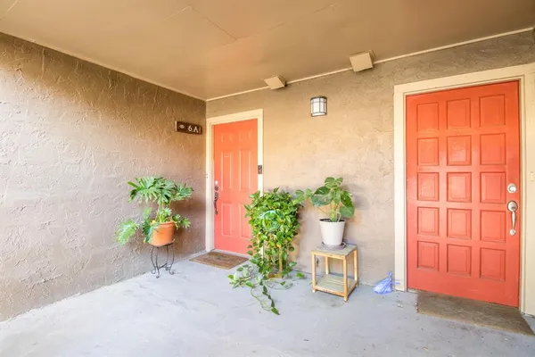 a potted plant sitting in front of a door