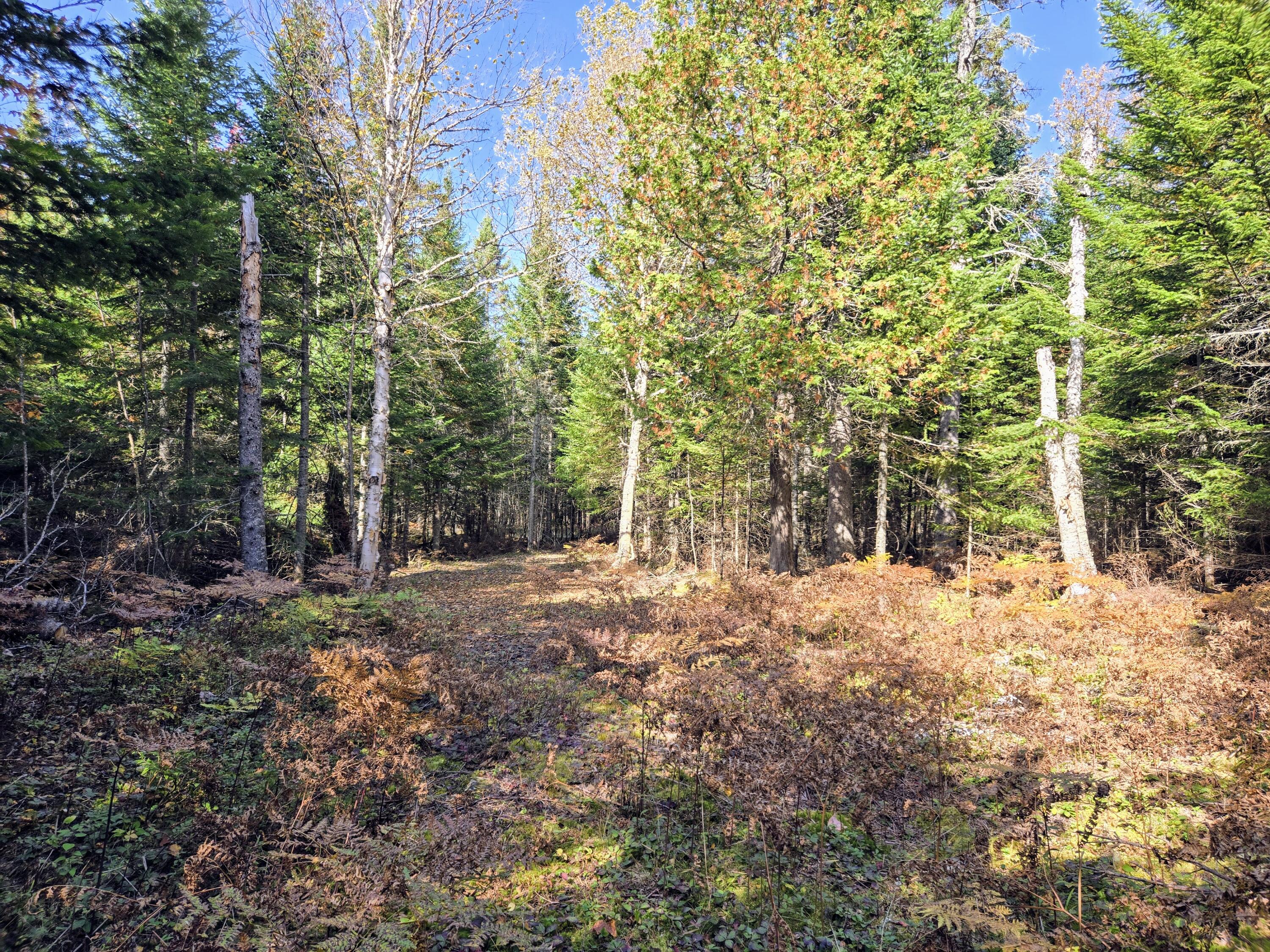 Lot 27-12 Winter Road Rangeley, ME 04970 - Photo 5 of 33 20241004_134507~2