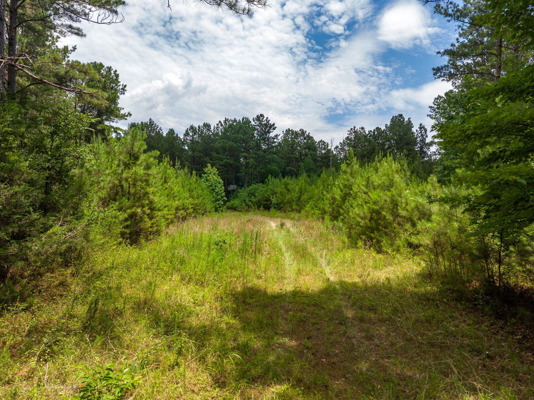 1 Quail Hollow Road Sharon, SC 29742 - Photo 19 of 27