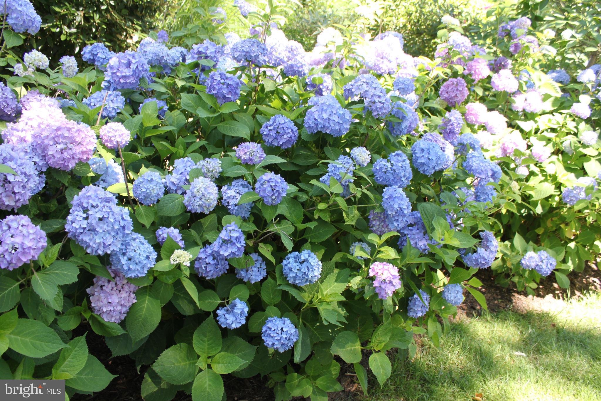 1214 Colonial Road McLean, VA 22101 - Photo 35 of 38