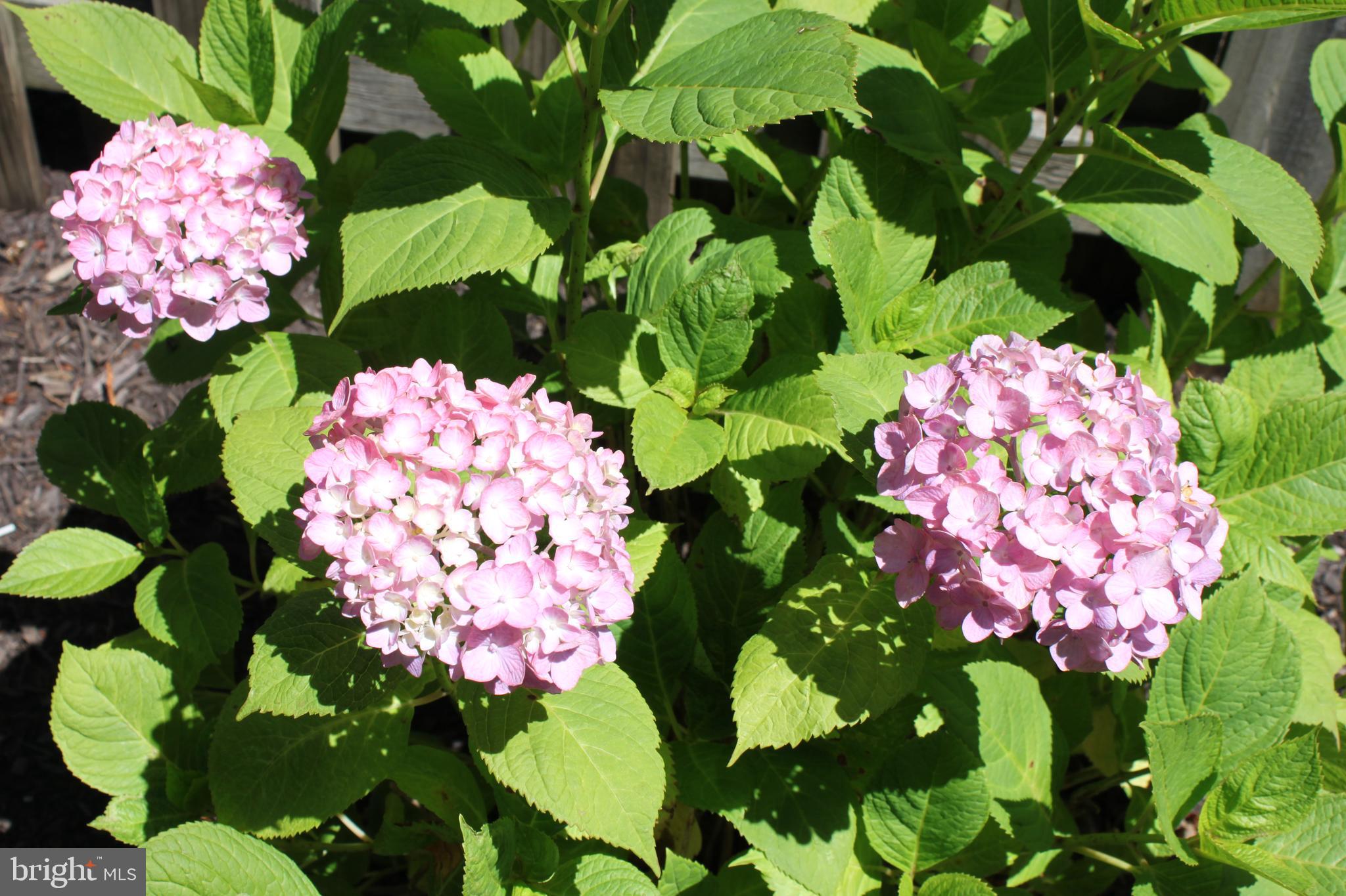 1214 Colonial Road McLean, VA 22101 - Photo 36 of 38