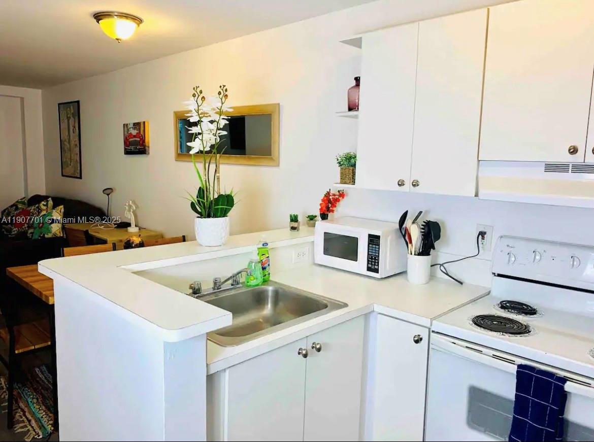 821 Southwest 2nd Street, Unit 6 Miami, FL 33130 - Photo 3 of 15 a kitchen with a sink a stove and cabinets