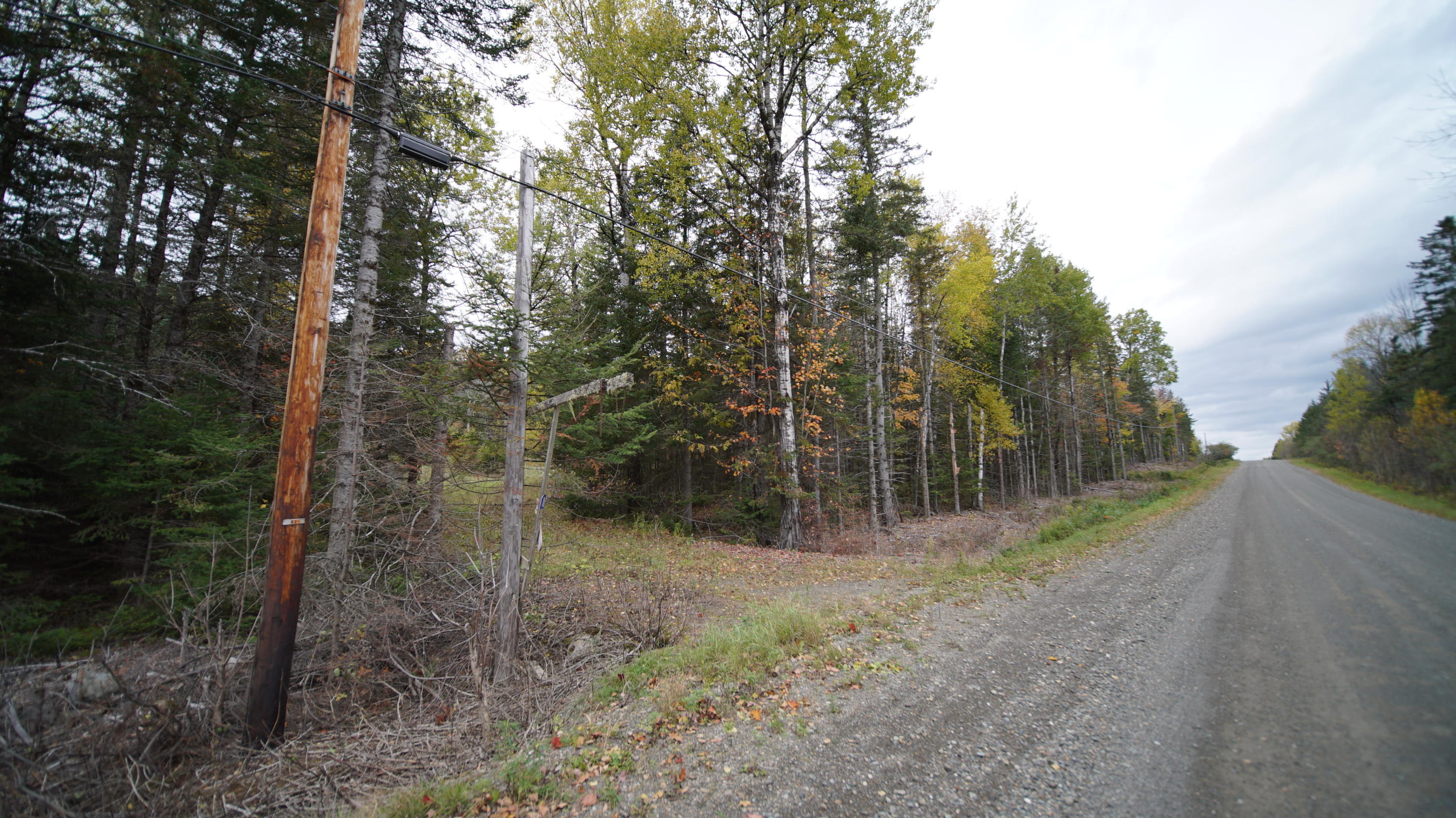 1093 Estabrook Road Amity, ME 04471 - Photo 10 of 32 DSC07606