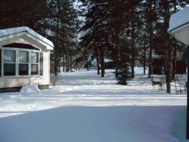 N3624 Heizler Road, Unit 28 Winter, WI 54896 - Photo 8 of 15 Gallery Image 8