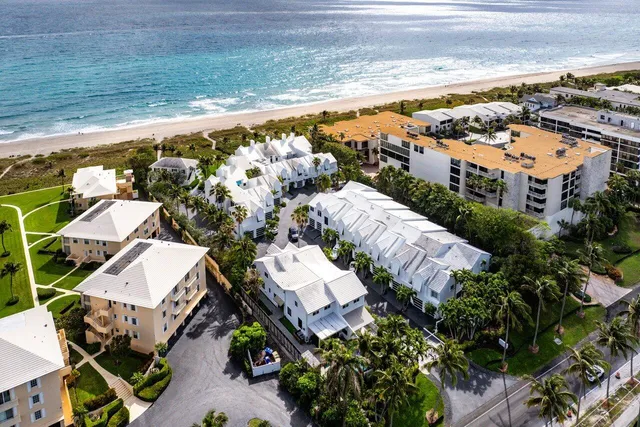 a view of a patio with plants and flowers