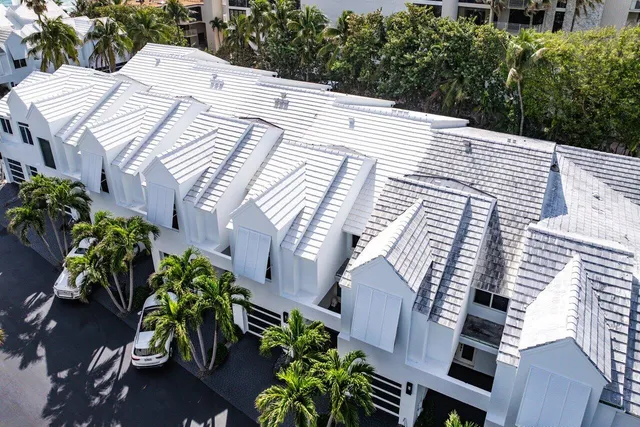 a potted plant sitting on a wooden floor