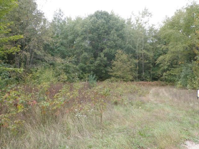 0 Fox Road Sanford, MI 48657 - Photo 3 of 3