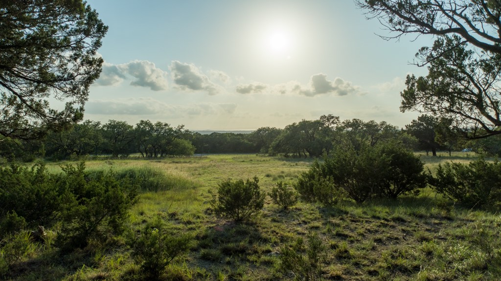 a view of lake with green space