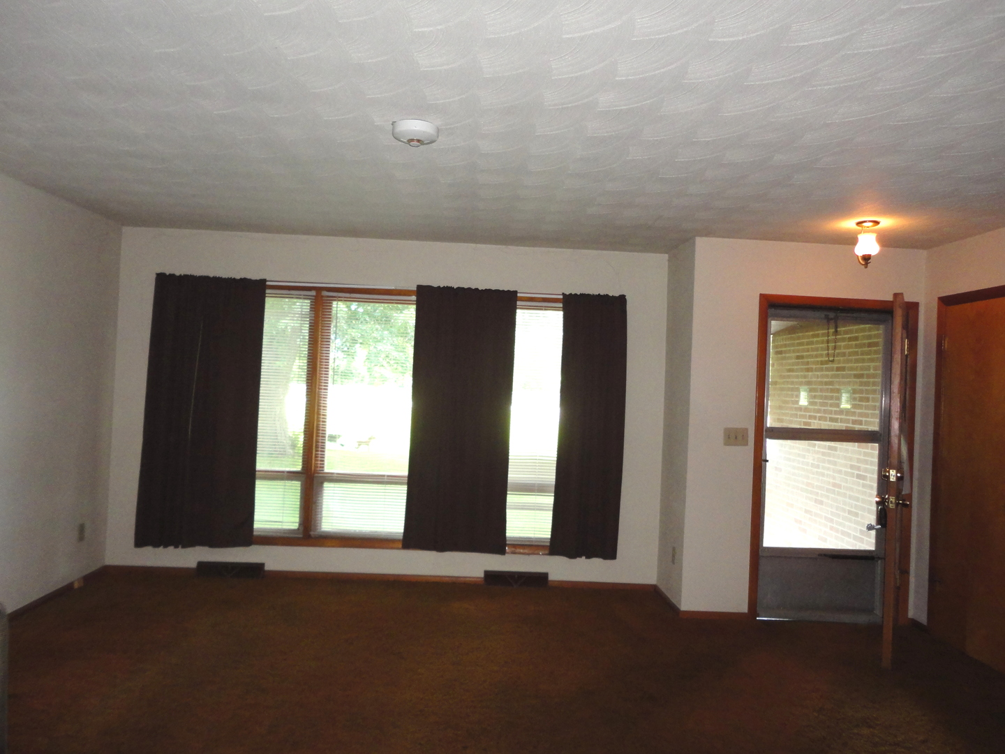 360 South Washington Street Braidwood, IL 60408 - Photo 8 of 18