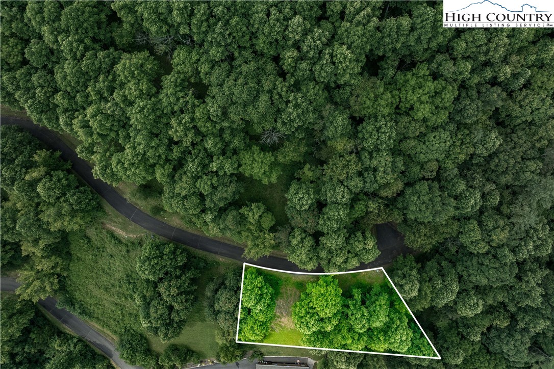 an aerial view of a yard