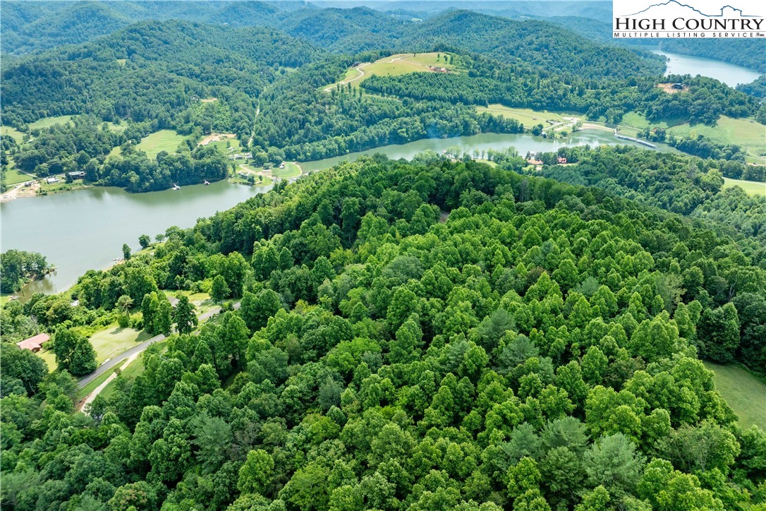 Lot 20 Lake Ridge Butler, TN 37640 - Photo 12 of 27 an aerial view of residential house with outdoor space and trees all around