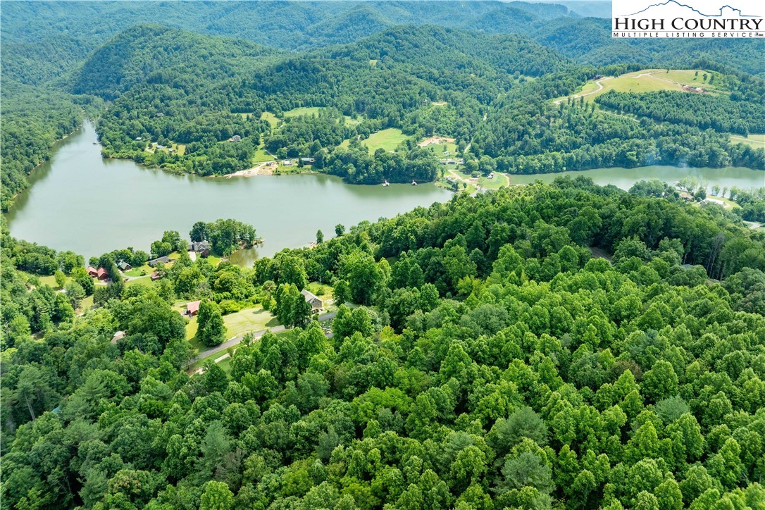 Lot 20 Lake Ridge Butler, TN 37640 - Photo 14 of 27 an aerial view of residential houses with outdoor space and trees