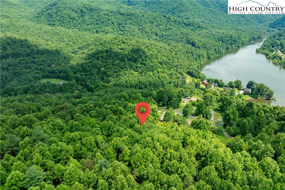 Lot 20 Lake Ridge Butler, TN 37640 - Photo 17 of 27 a view of a forest with a sink and fire pit